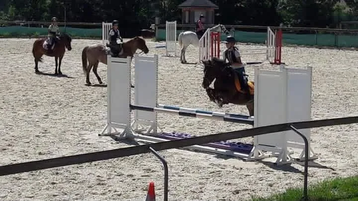 Cours collectif en carrière au Haras du Rochastier
